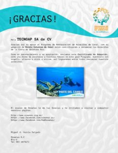 Tecnoap apoya al Programa de Restauración de Arrecifes de Coral