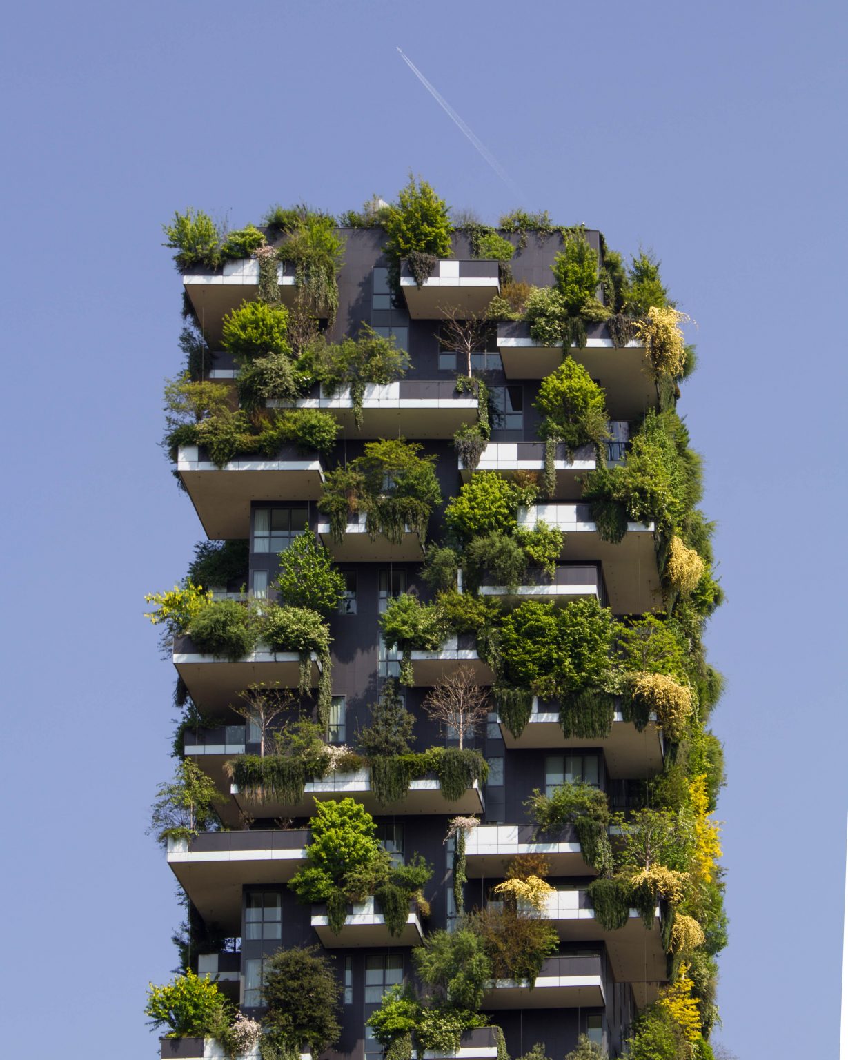 Arquitectura sustentable y sostenible para el medioambiente.