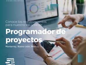 Programador de proyectos, Colima.