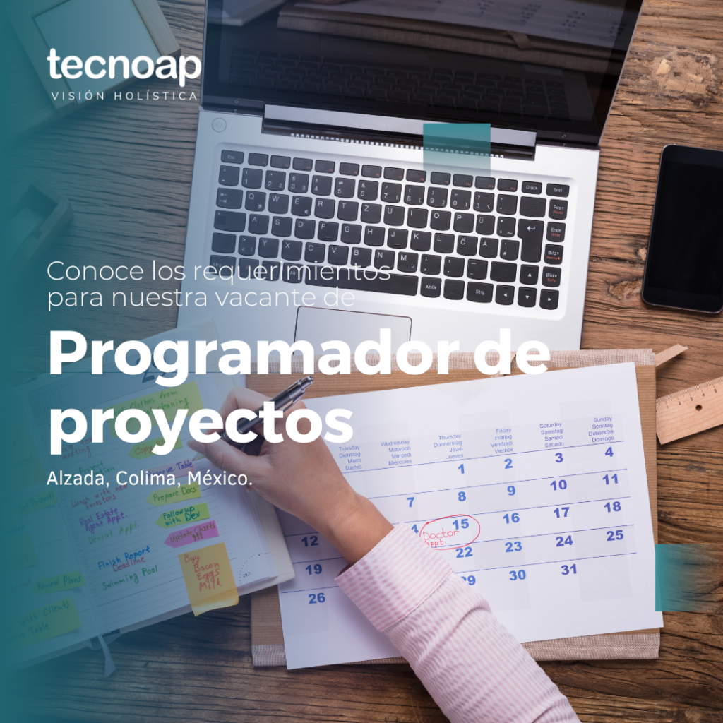Programador de proyectos en Colima.